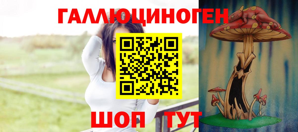 Псилоцибиновые грибы Psilocybe Валуйки